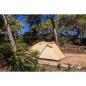 Preview: Coleman Darwin 4 Plus Summer, Zelt (beige/dunkelrot)