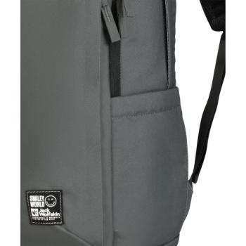 Jack Wolfskin SMILEYWORLD BACKPACK, Rucksack (grün/grau, 22 Liter)